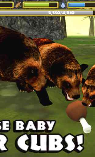 Wildlife Simulator: Bear 3