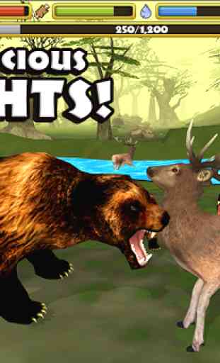 Wildlife Simulator: Bear 4