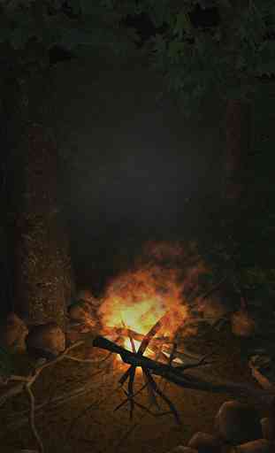 Bonfire 1