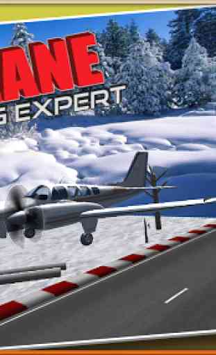 Flying Plane 3D:Landing Expert 2