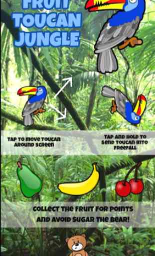 Fruit Toucan Jungle 2