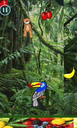 Fruit Toucan Jungle 3