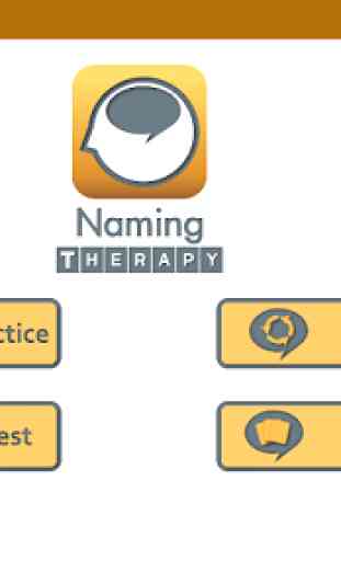 Naming Therapy 4