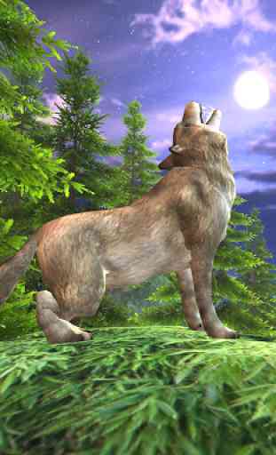 Wild Wolf Attack Adventure 3D 4