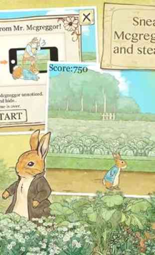 Peter Rabbit's Garden 3