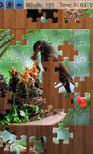 Birds Jigsaw Puzzles Game 1