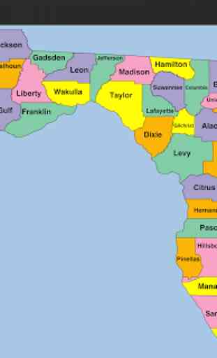 Florida Map Puzzle 4