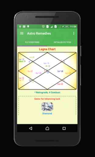 Astrology & Remedies Pro 2