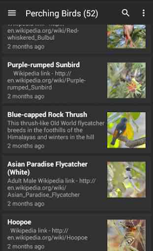 Birds of India 4