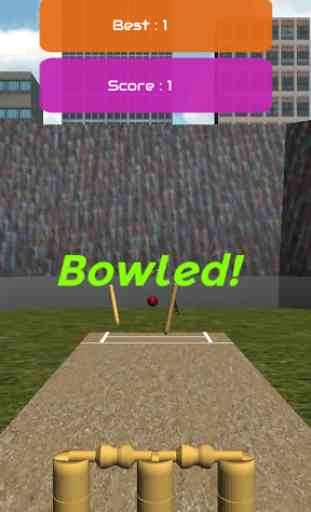 Bowled - Cricket Game 2