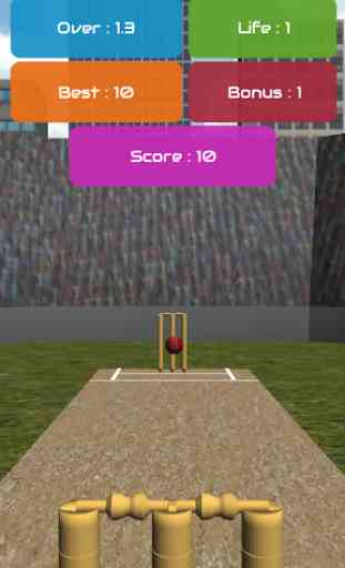 Bowled - Cricket Game 3