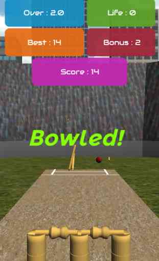 Bowled - Cricket Game 4