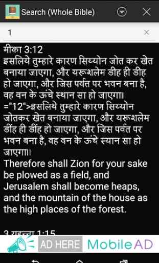 Hindi English Bible 4