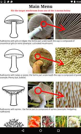MycoIdent, Mushroom Identifier 3