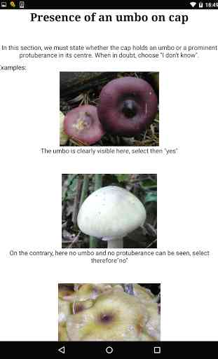 MycoIdent, Mushroom Identifier 4