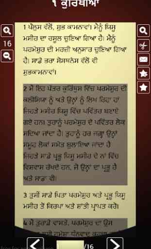 Punjabi Bible 4