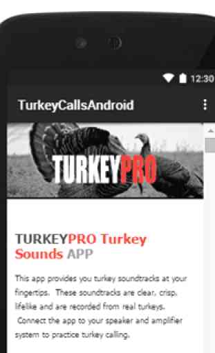 Turkey Calls - Turkey Sounds 1