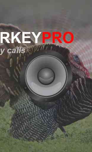 Turkey Calls - Turkey Sounds 4