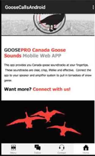 Goose Calls, Canada Goose Call 3