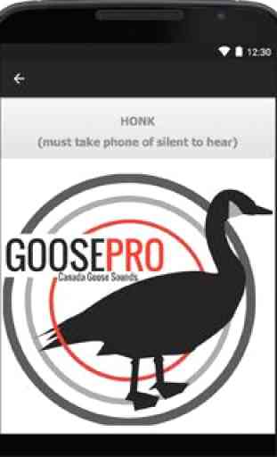 Goose Calls, Canada Goose Call 4