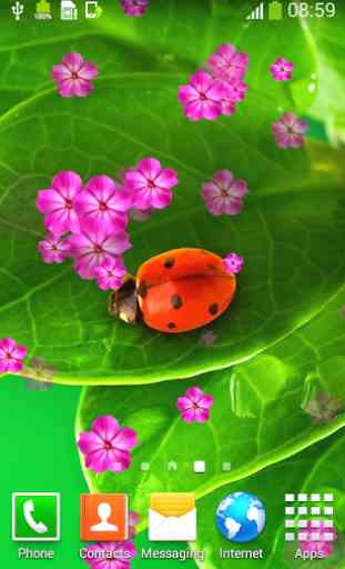 Ladybug Live Wallpapers 3