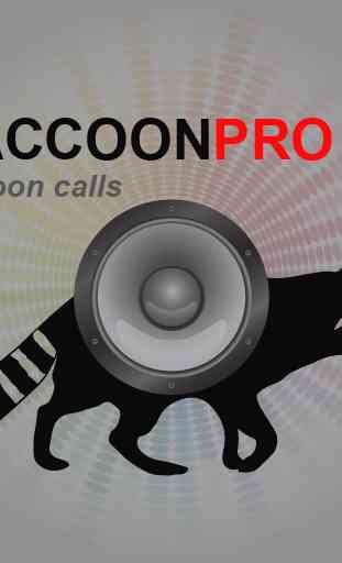 Raccoon Calls - Raccoon Sounds 1
