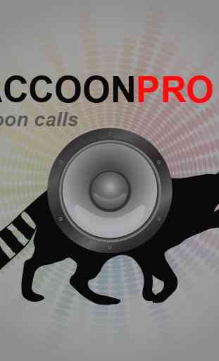 Raccoon Calls - Raccoon Sounds 4