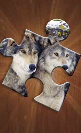 Wolf Puzzles 1