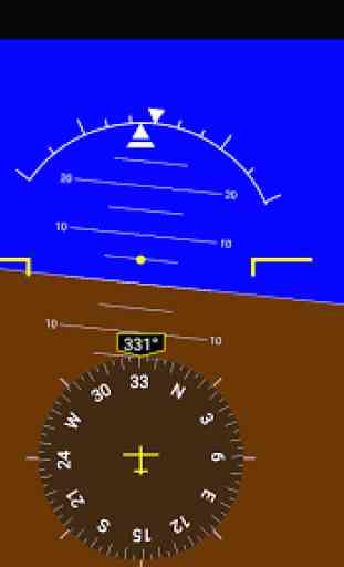 Flight Simulator Display 1
