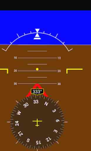 Flight Simulator Display 3