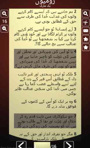 Urdu Bible 4