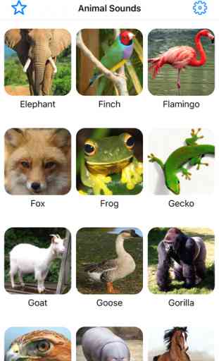 Animal Sounds Voice Effects Soundboard - Nature Sound Funny Forest Jungle Simulator for Toddlers and Kids Education 2