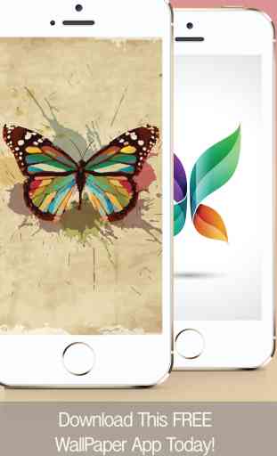 Butterfly Wallpapers, Backgrounds & Themes - Download Free HD Images of the Best Beautiful Butterflies You've Ever Seen! 1