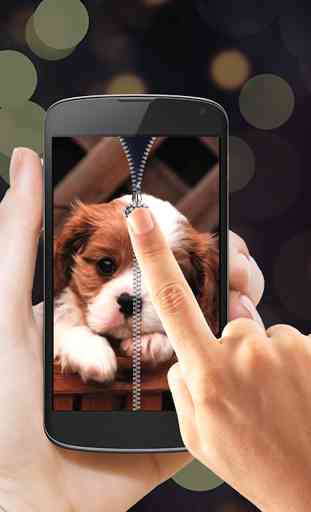 Puppy Zipper Lock Screen 2
