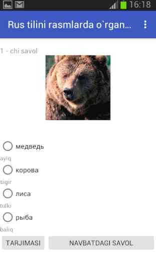 Learning Russian by pictures 4