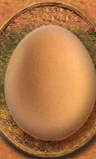 NassT - hatch the egg 1