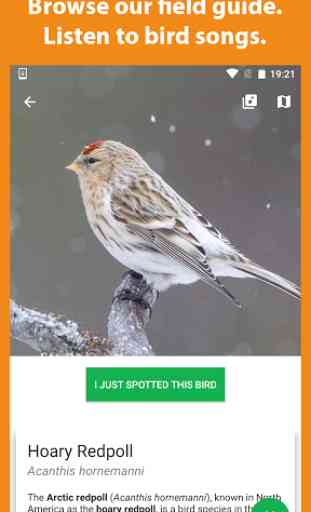 Birder - Record birds you see 2