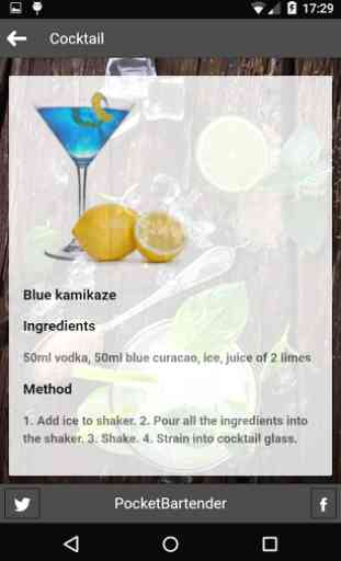 Cocktail Recipes Lite 3