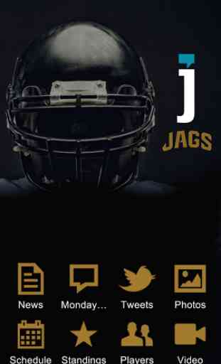 Jacksonville Jaguars 1