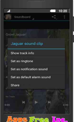 Jaguar Sounds 2