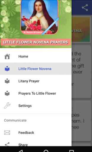 Little Flower Novena Prayers 3