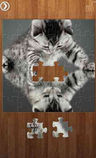Reflection Jigsaw Puzzles 3