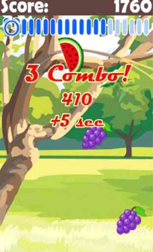 Fruit Combo - free fruit game 2
