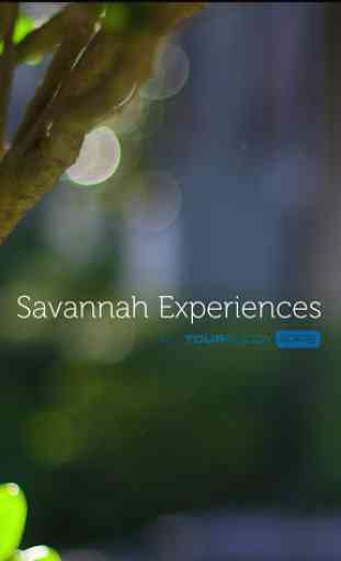 Savannah Experiences 1