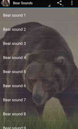Bear Sounds 1