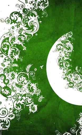 Pakistan Flag Wallpapers 4