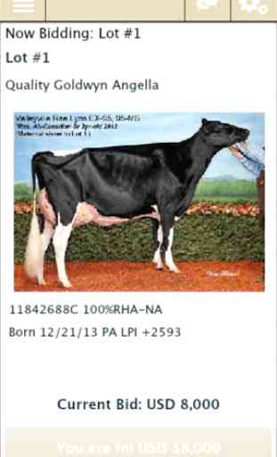Cowbuyer Livestock Auctions 1