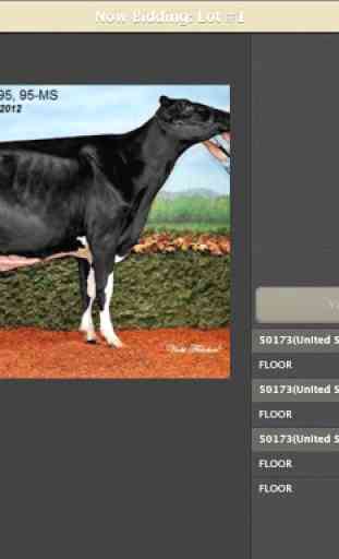 Cowbuyer Livestock Auctions 3
