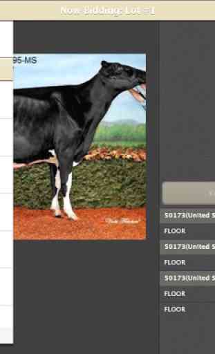 Cowbuyer Livestock Auctions 4