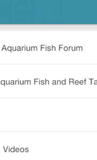 Fish Lore Aquarium Forum 4